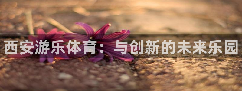 意昂5(KGAME)体育：西安游乐体育：与创新的未来
