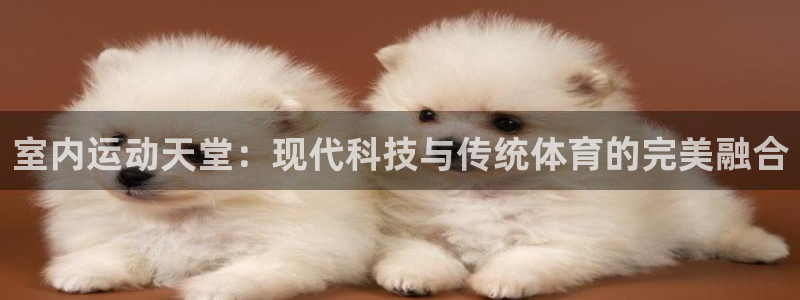 意昂5(KGAME)娱乐网站：室内运动天堂：现代科技