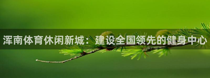 意昂5(KGAME)集团E.ON：浑南体育休闲新城：建设全国