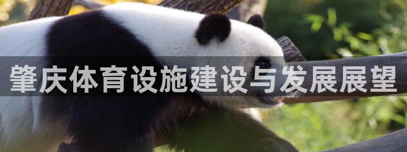 意昂平台体育：肇庆体育设施建设与发展展望