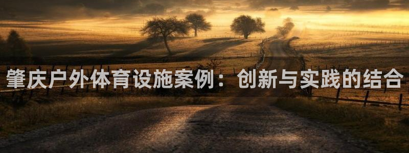 意昂5(KGAME)集团E.ON：肇庆户外体育设施案例：创新