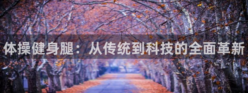 意昂5(KGAME)娱乐：体操健身腿：从传统到科技的全面革新