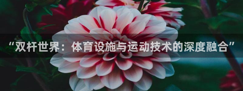 意昂5(KGAME)体育招商电话号码查询是多少：“双