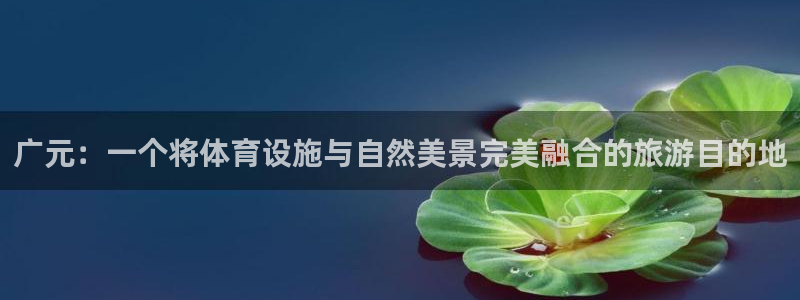 意昂5(KGAME)体育平台注册要钱吗：广元：一个将