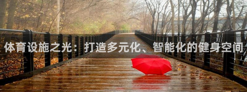 意昂5(KGAME)官网：体育设施之光：打造多元化、智能化的