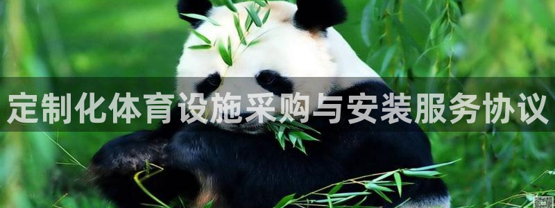 意昂5(KGAME)体育平台是正规平台吗：定制化体育设施采购