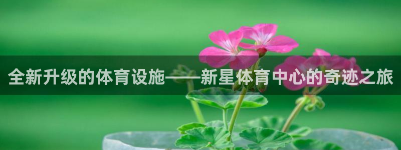 意昂5(KGAME)体育招商电话地址：全新升级的体育