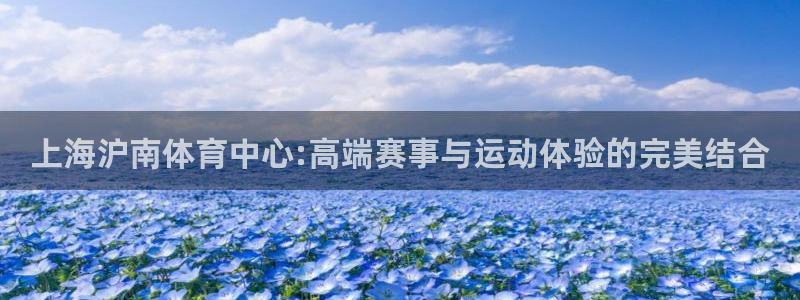 意昂5(KGAME)娱乐代理怎么样：上海沪南体育中心:高端赛 