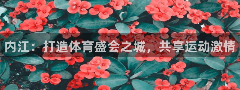 意昂5(KGAME)集团官网网址：内江：打造体育盛会