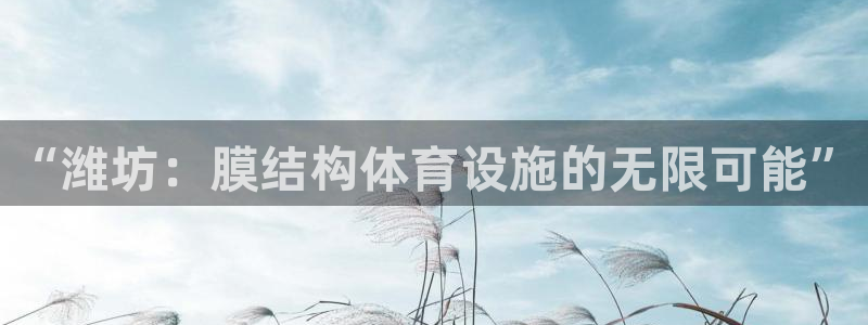 意昂5(KGAME)娱乐代理怎么样：“潍坊：膜结构体育设施的