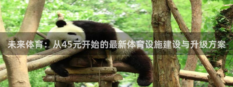 意昂5(KGAME)娱乐首页网站大全：未来体育：从45元开始