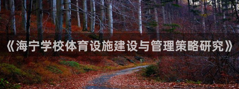 意昂5(KGAME)体育平台注册流程图：《海宁学校体育设施建