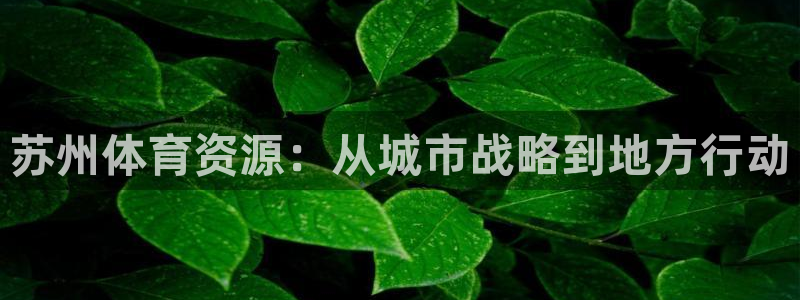 意昂5(KGAME)集团：苏州体育资源：从城市战略到地方行动