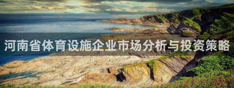 意昂平台体育：河南省体育设施企业市场分析与投资策略