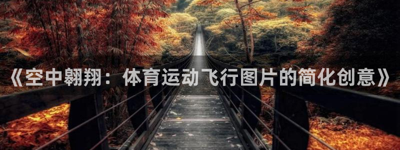 678体育：《空中翱翔：体育运动飞行图片的简化创意》