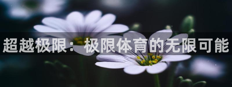 678体育官网下载：超越极限：极限体育的无限可能