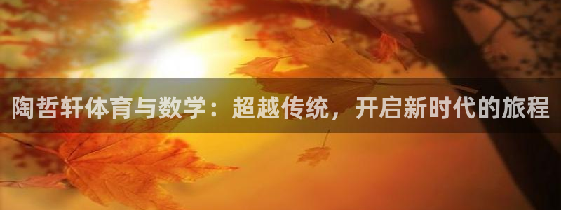 678体育官网：陶哲轩体育与数学：超越传统，开启新时代的旅程