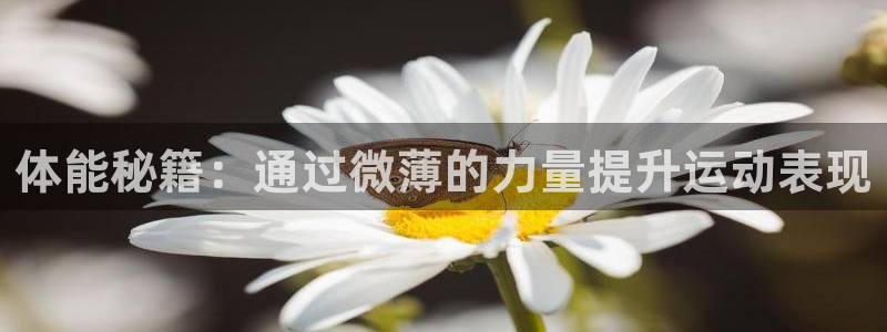皇冠678体育：体能秘籍：通过微薄的力量提升运动表现