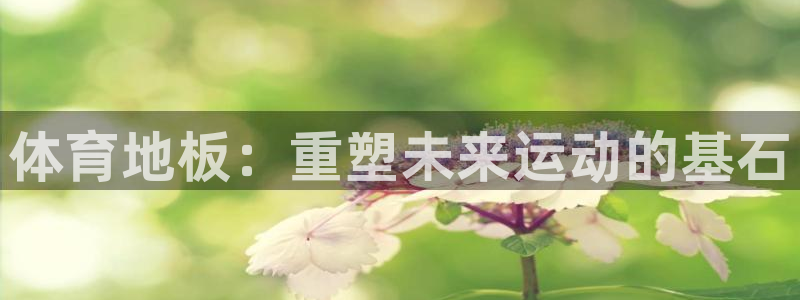 678体育官网地址：体育地板：重塑未来运动的基石