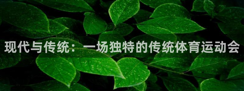 678体育知识：现代与传统：一场独特的传统体育运动会
