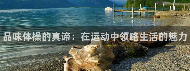 678体育官网下载：品味体操的真谛：在运动中领略生活的魅力