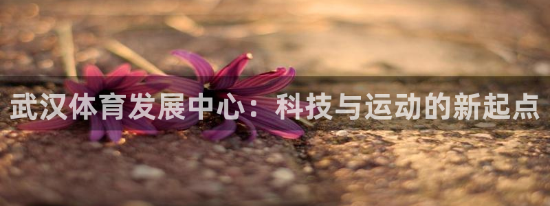 意昂5(KGAME)娱乐代理怎么样